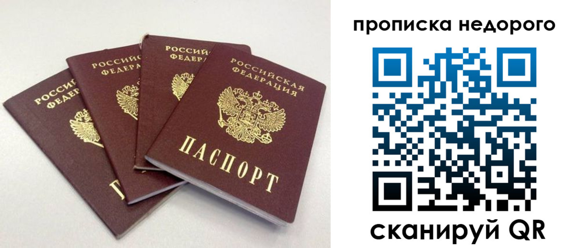 прописка законно в Шахунье